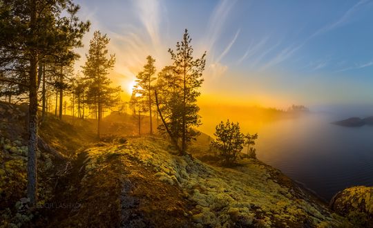 Советы по осенней фотографии - Canon ...