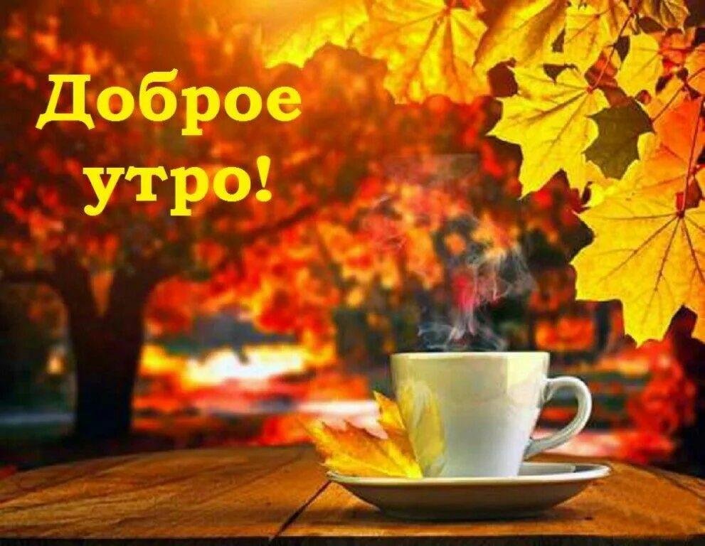 Доброе утро | Доброе утро. Осень бывает ...