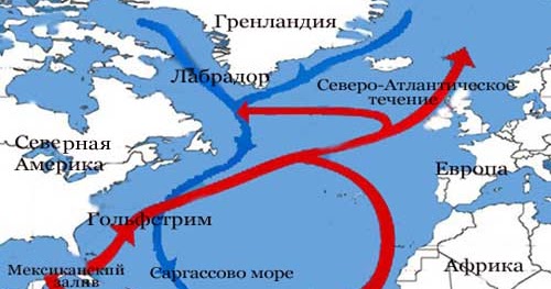 Трагедия викингов. Почему они не прижились в Гренландии - РИА ...