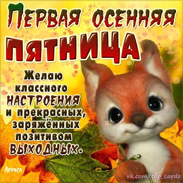 💗🌷🍁🍂🔆🍁🍂🌻💓🍁🍂🌷💗 Доброе утро, друзья! 😊 #Осень ...