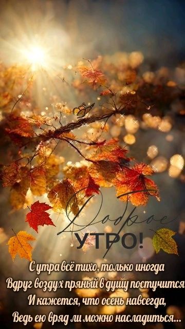 Открытка Доброе утро!!! Всем Удачного Дня!