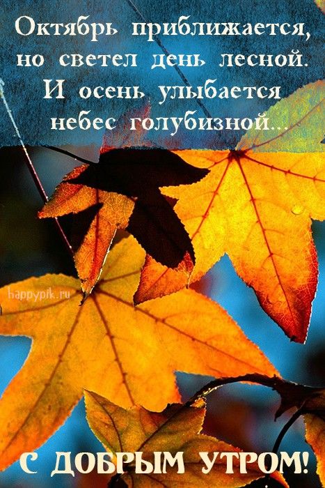 🍁 ⛅ ☕ Картинки С добрым осенним утром ...