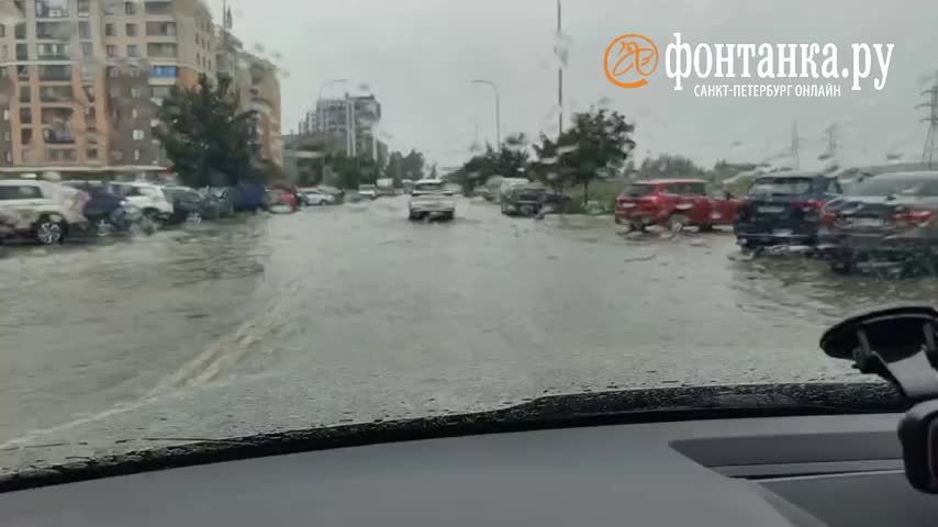 Текст песни Вижу родные и мокрые лица ...