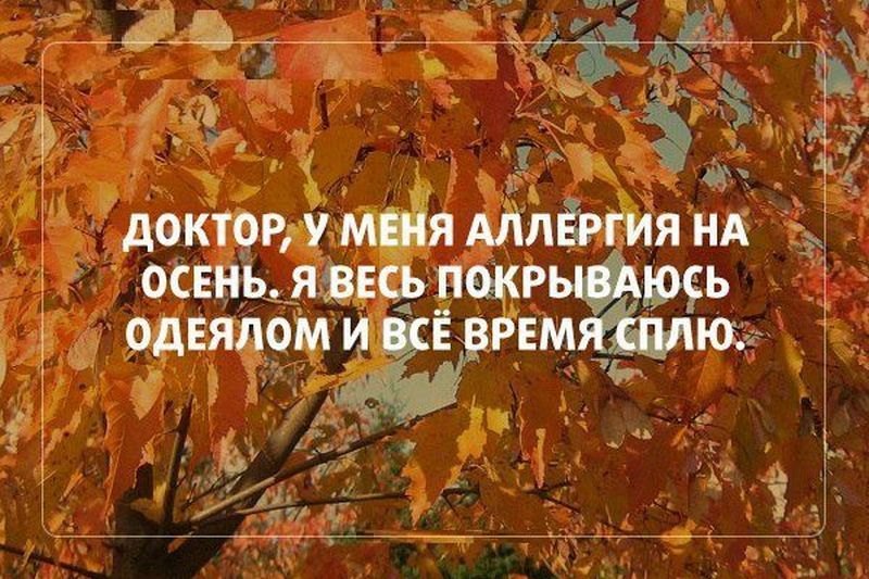 Валерия Юдина | #осень#приколы#2024#смех#угар#rels ...