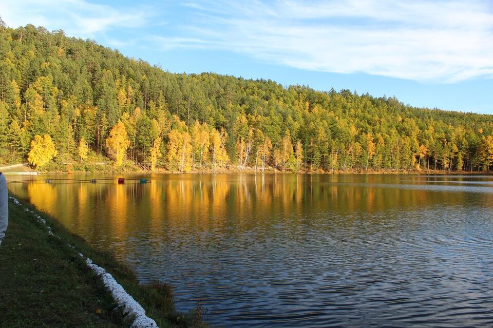 Багульник и ургульки перепутали осень с ...