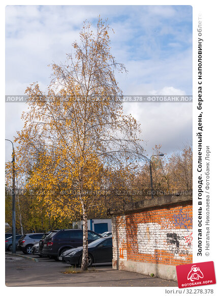 Картинка осень в городе | Осенние ...