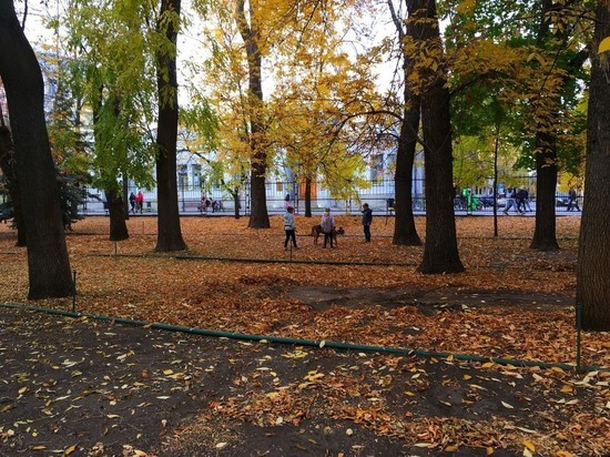 Городской парк - Изображение Городской ...