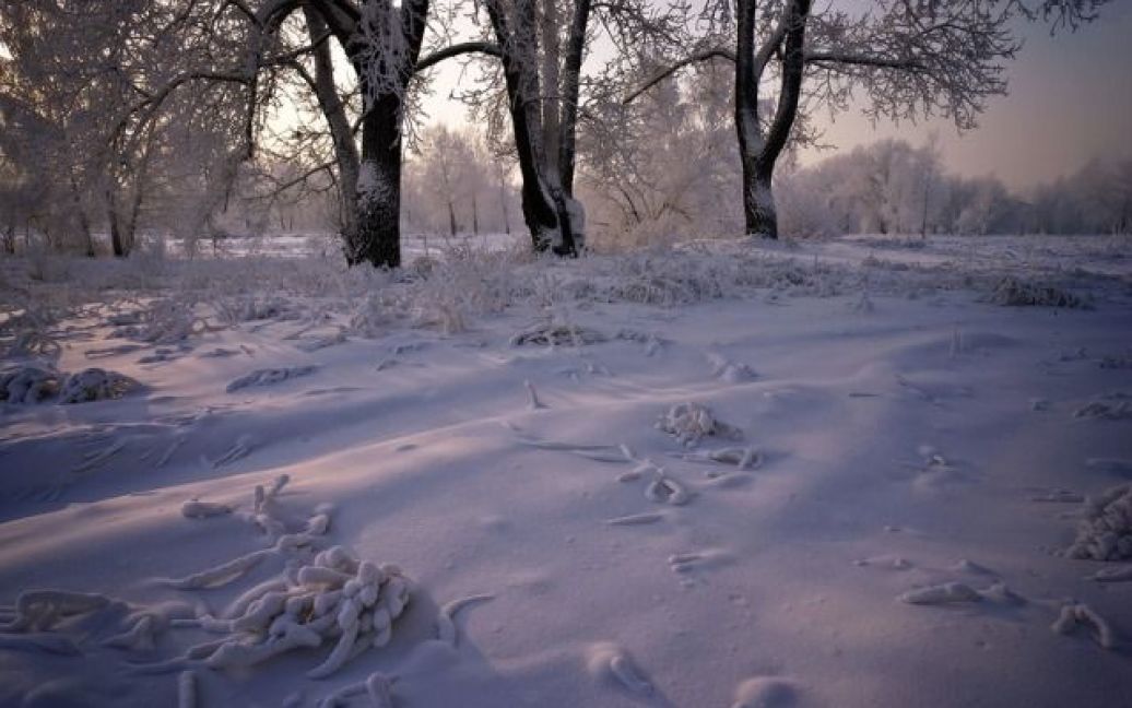 GISMETEO: Русская зима «закручивает гайки» в Сибири