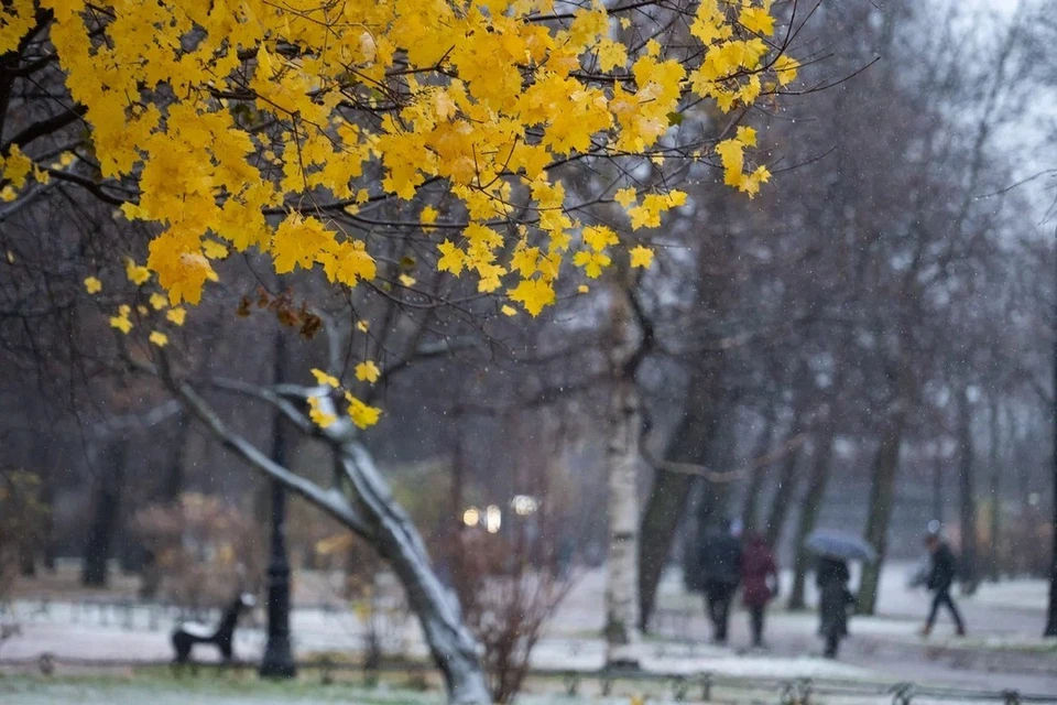 Переход лета в зиму минуя осень | Пикабу