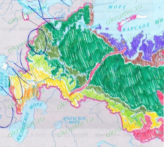 Решение задач на определение природных зон - РОО «Ассоциация ...