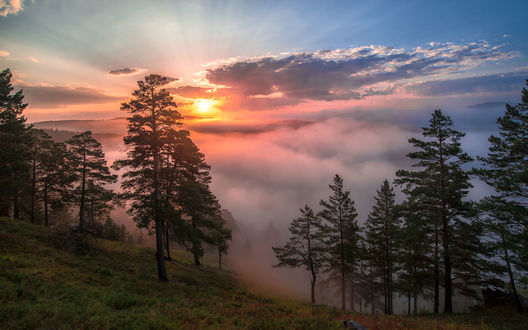 Yosemite national ...