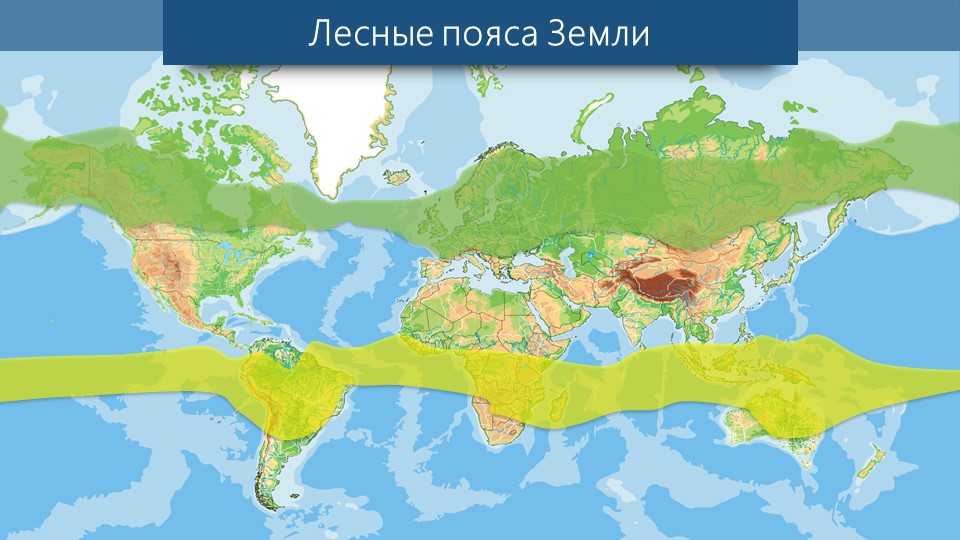 40. Почвы. Растительность и животный мир. Природнизоны ...