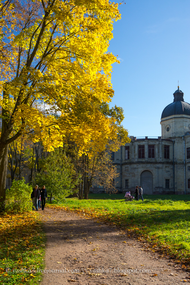 осенний парк - Изображение Дворцовый парк, Гатчина - Tripadvisor