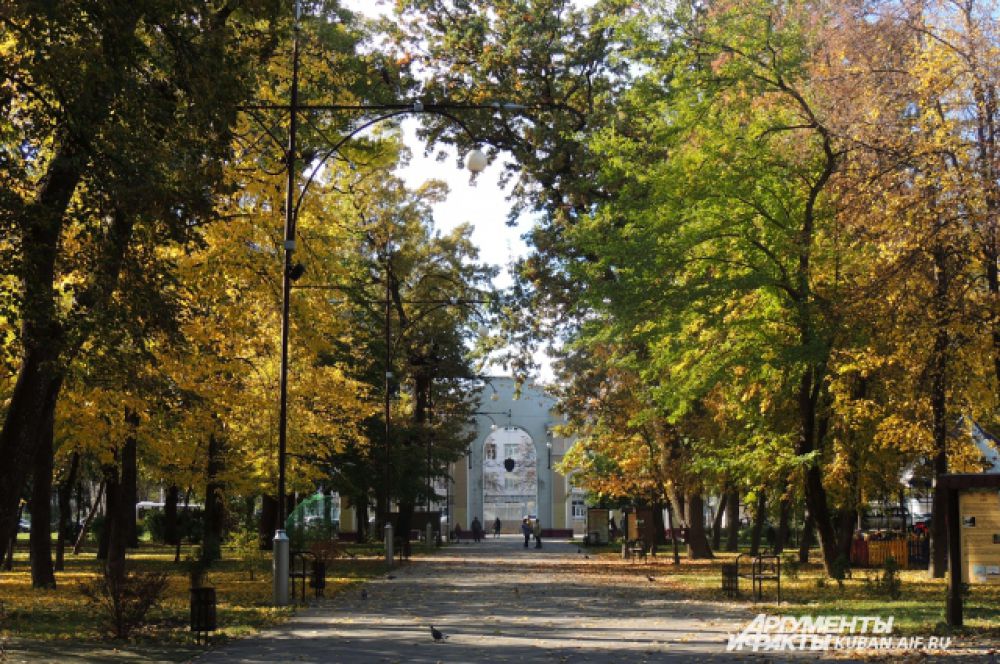 5 мест недалеко от Москвы, где золотая осень особенно хороша