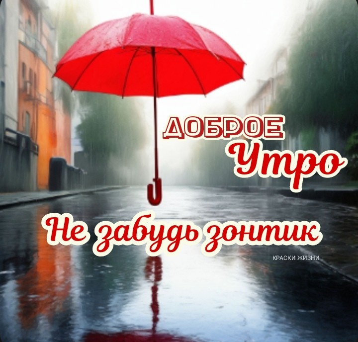 Zmei podkolodnie | Доброе утро!😂 #доброеутро #осень #ноябрь ...