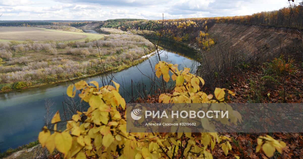 Золотая осень в Кривоборье — Сообщество «Фотоальбом Драйва ...