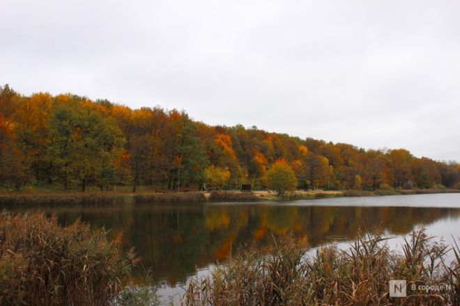 Золотая Осень В Городе, Картина ...