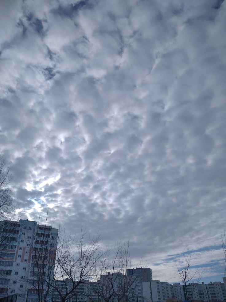 Волнистые, пористые курчавые облака на голубом небе. Фон ...