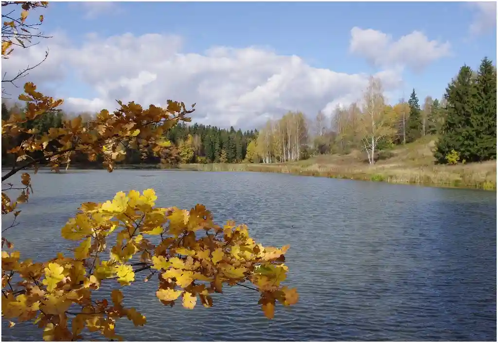 Пленер. Усадьба 