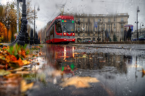 Обои осень, город, дождь, окно на ...