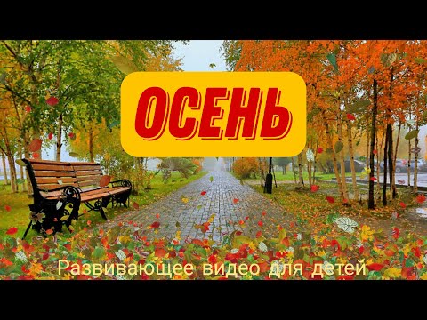 Рассказы о временах года. Осень