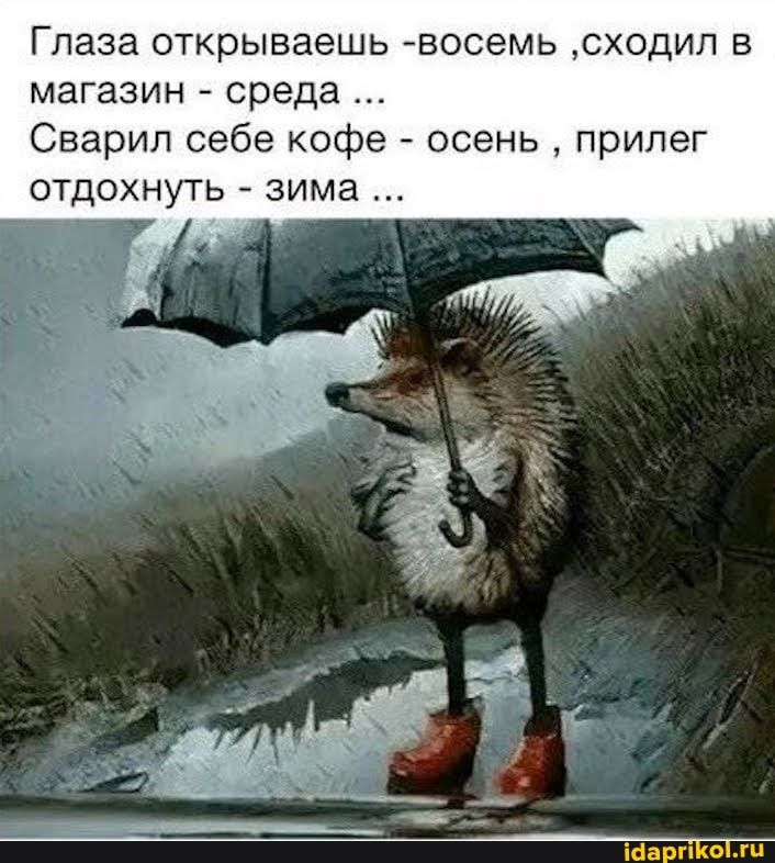 Журнал 