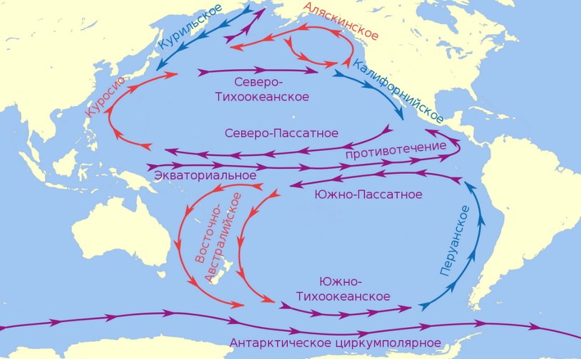 Океаны и моря России