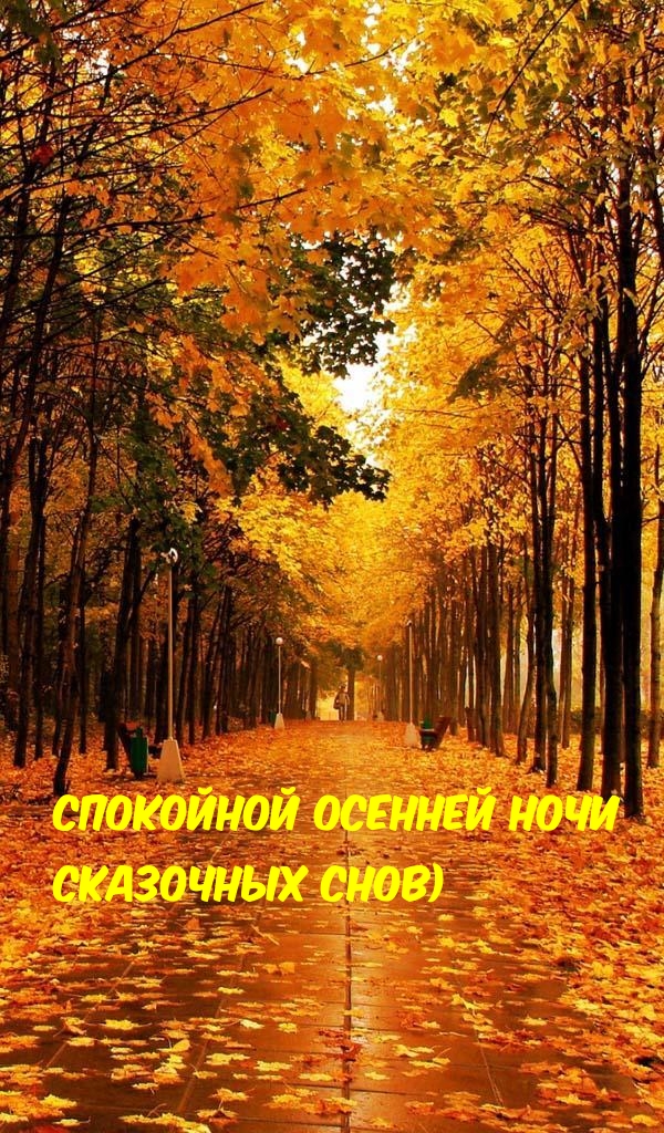 Осенние картинки 