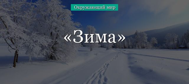 Конспект урока по ИЗО на тему Зима (1класс)