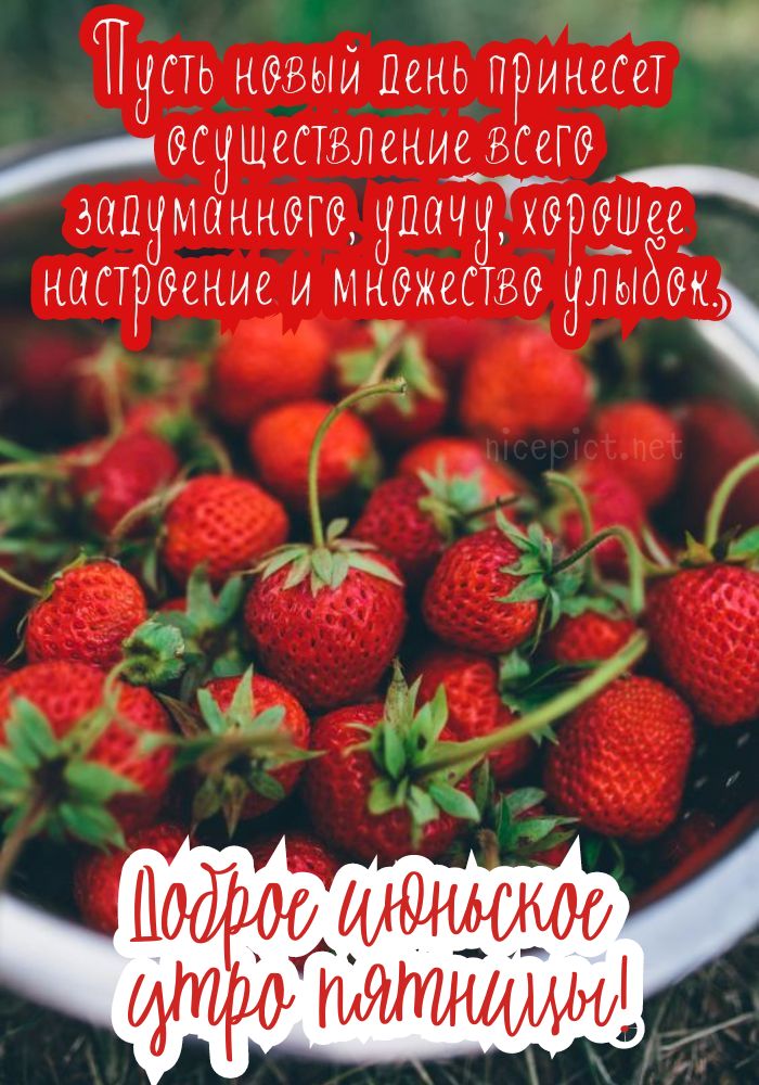 Картинки доброе утро пятница: красивые и прикольные открытки ...