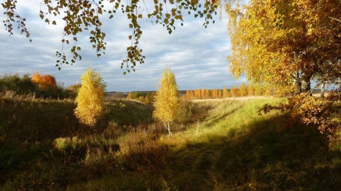 Новая Тула - Ротонда в Платоновском парке. Автор фото: Таня ...