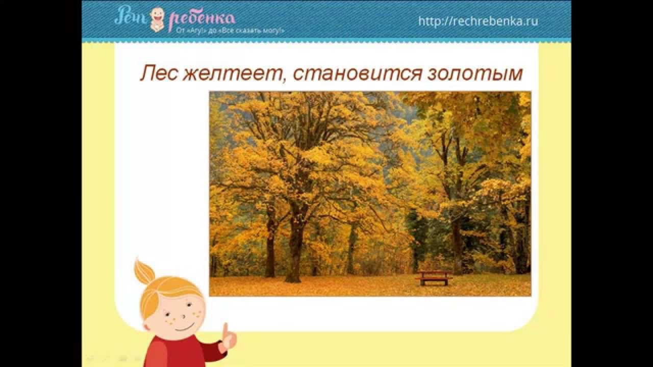 Презентация 