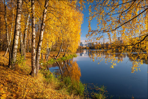 Скачать картинки Осень парк москва, стоковые фото Осень парк ...