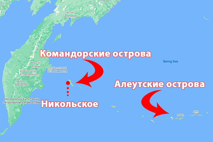 30 лет со дня основания биосферного заповедника «Командорский ...