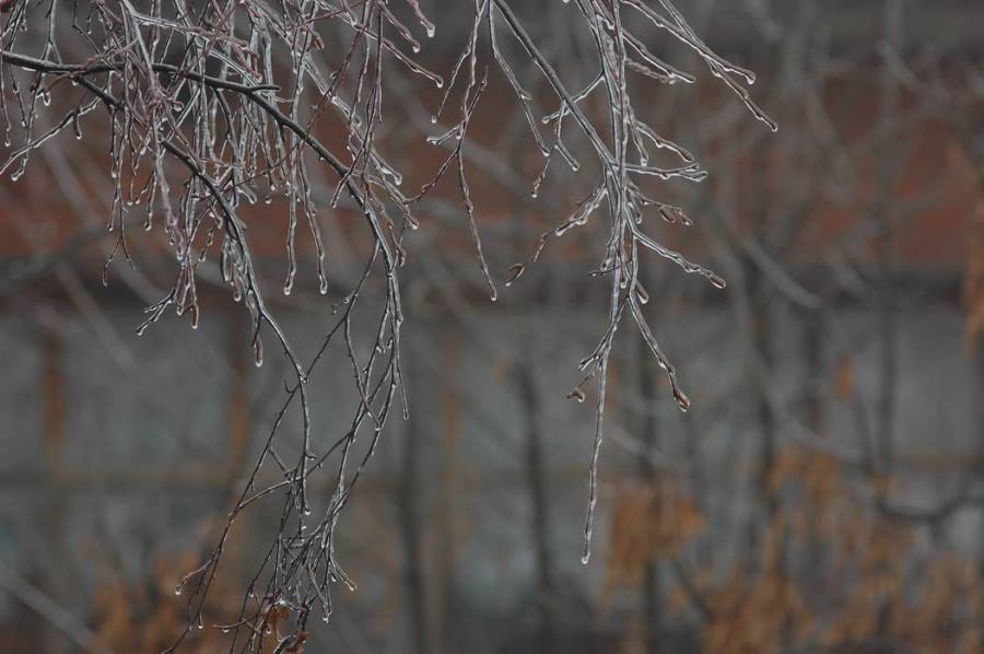 Юлия | Ну вот и зима пришла 🥶 | Instagram