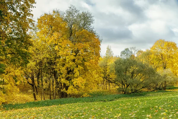 Осень в Гродно (Беларусь) | Пикабу