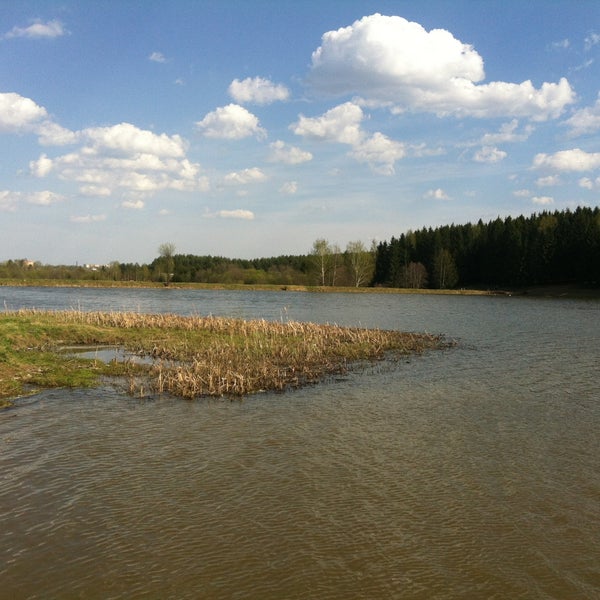 Открытие обновленного лесопарка «Загорское море» в Сергиевом ...