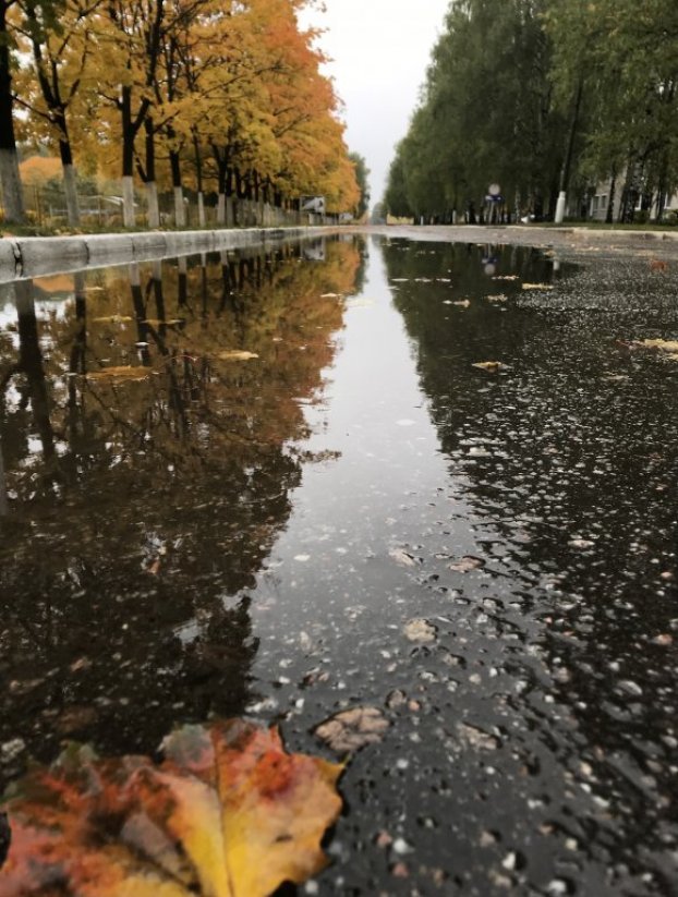 Осень золотая: лучшие осенние пейзажи в украинских городах ...