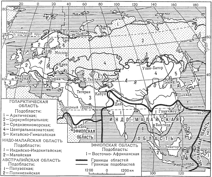 Часовые пояса мира