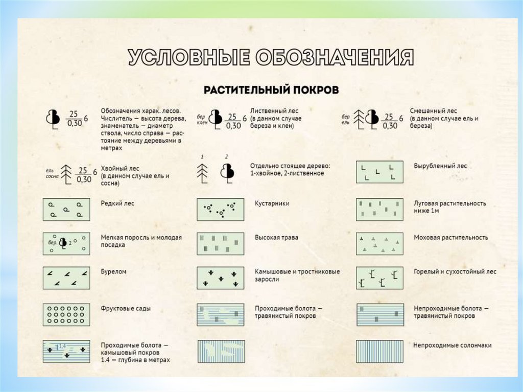 Лекция № 4 условные знаки топ | Поход ...