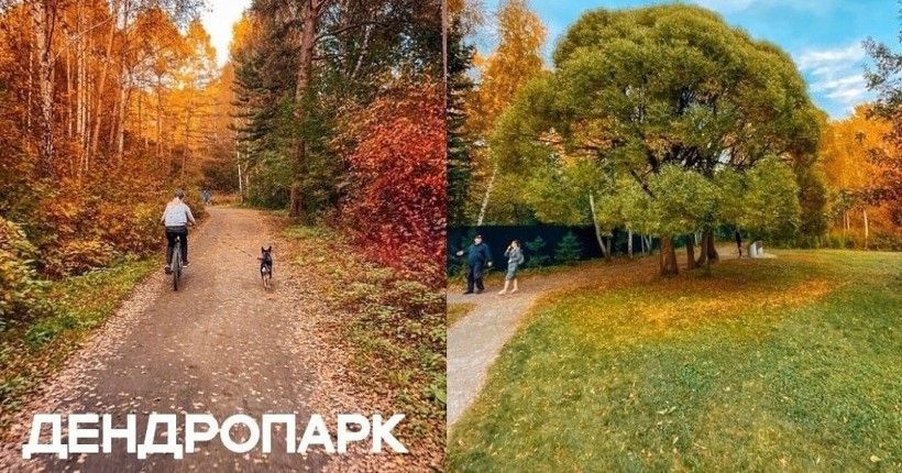 Краски осени — Новосибирск — Сообщество «Фотография» на DRIVE2