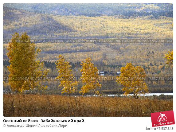 Осенний пейзаж. Забайкальский край ...