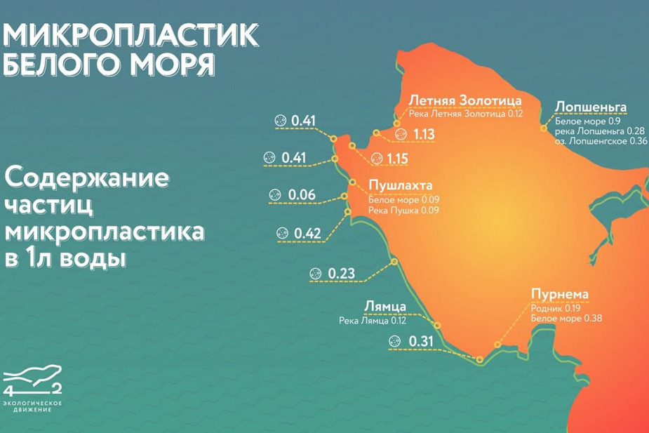 Белое море. Жизнь подо льдом