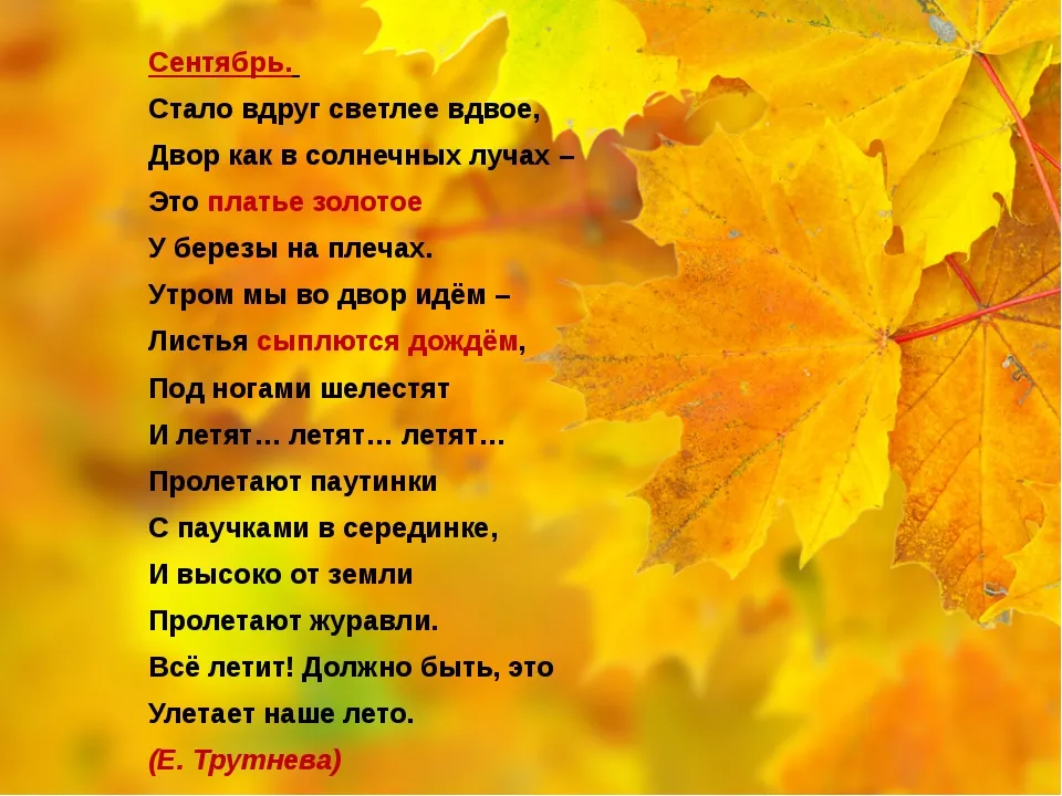 Обожаю языки - #сон #осеннийсон ...