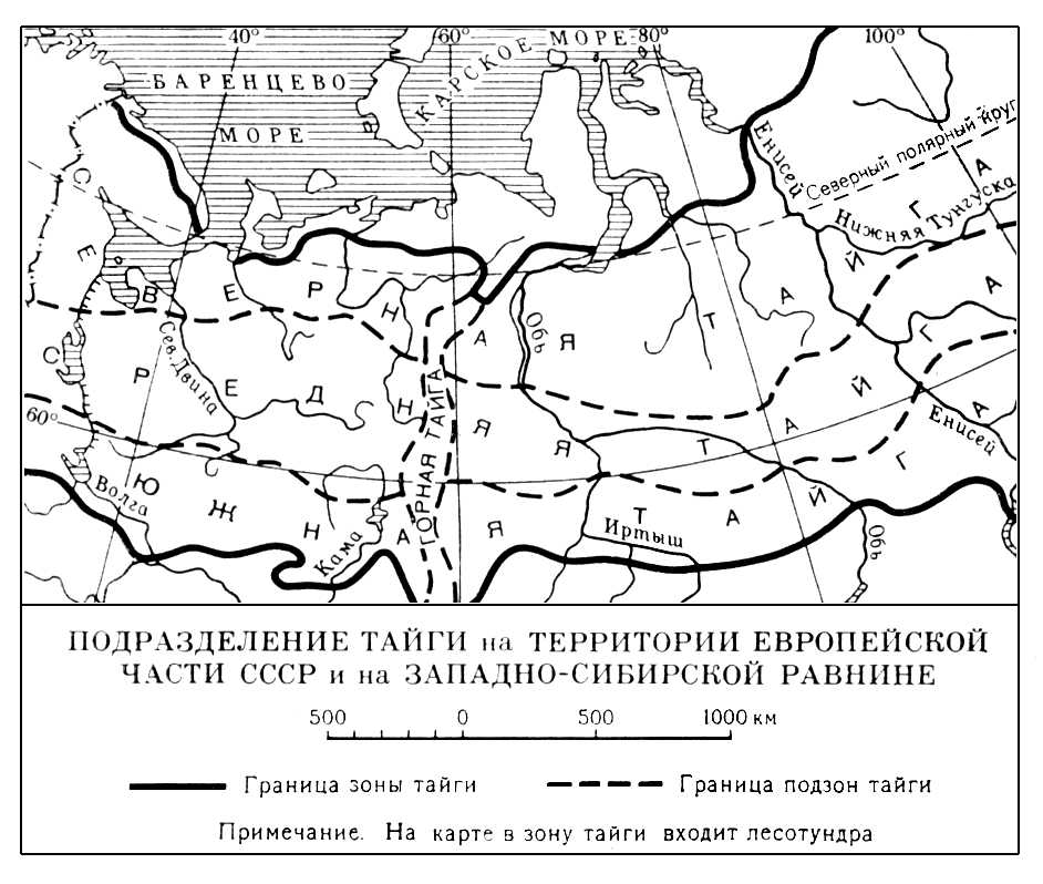 Тропический лес Амазонки Ecoregion Cachoeira Porteira ...