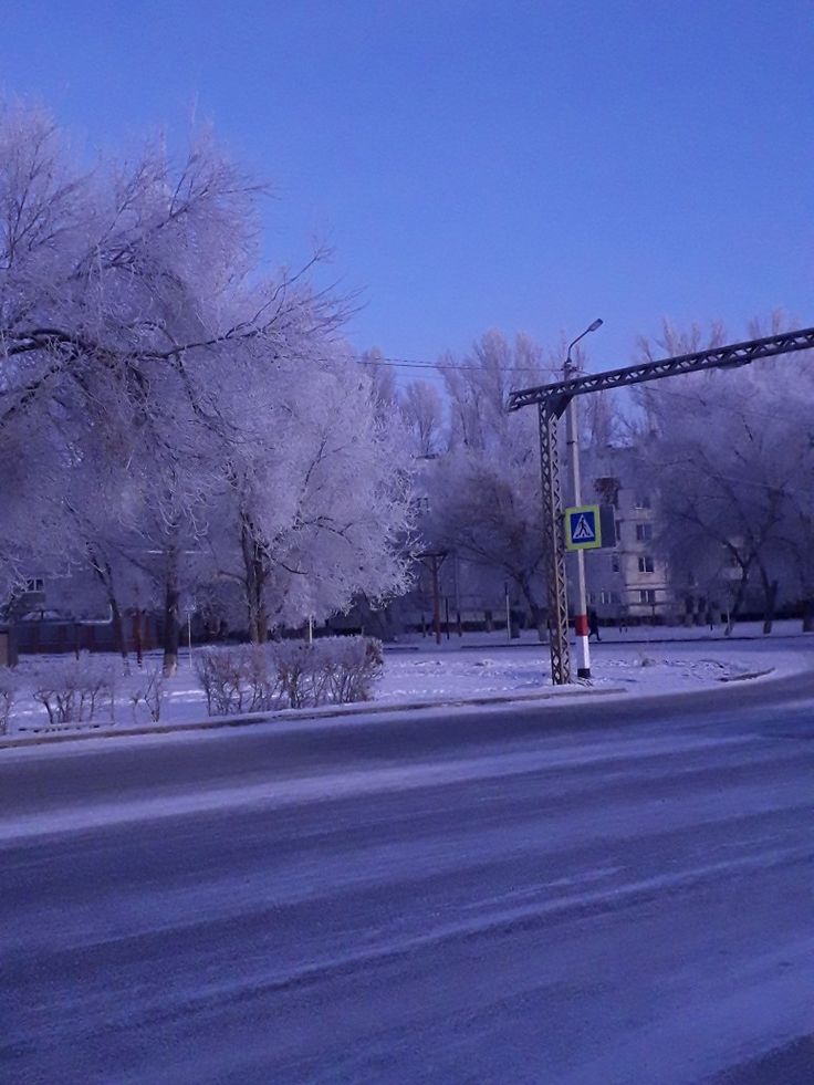 Красивая зима снежный лес зимний отпуск зима плохая погода ...