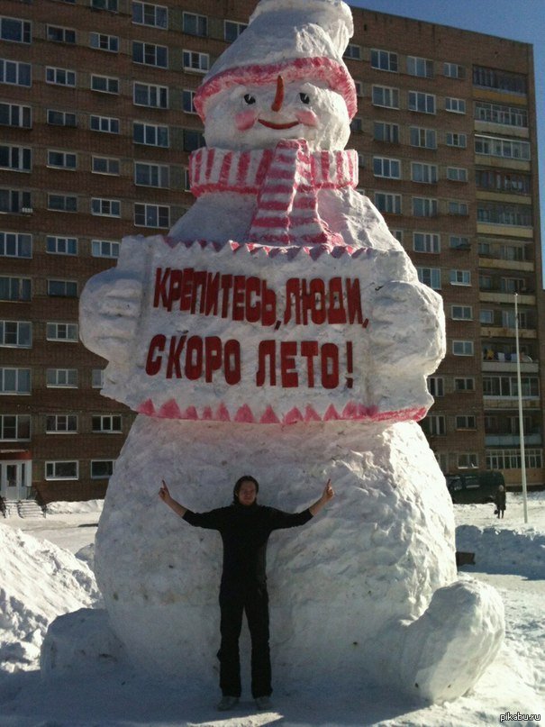 Привет, зима. смешные пингвины нового года в шляпах. новая ...