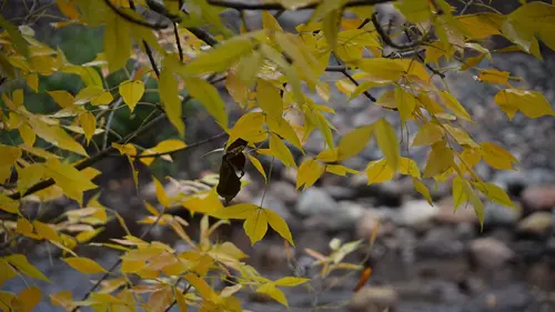 Скачать картинки Ставрополье осень, стоковые фото Ставрополье ...