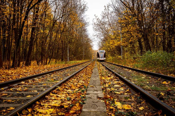 Осень — поэтичное время года, не правда ли? 🍁 Отличный повод ...