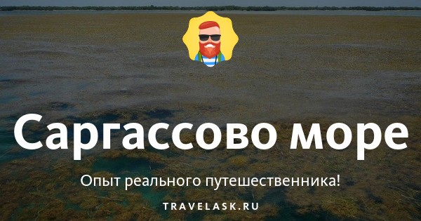 Номенклатура Северной Америки | Quizlet